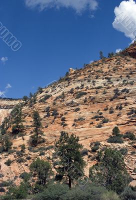 Zion National Park