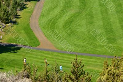 Golfers on bright green fairway Golfers on bright green fairway