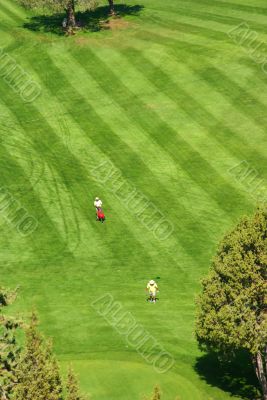 Golfers on bright green fairway Golfers on bright green fairway