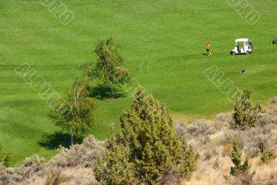 Golfers on bright green fairway Golfers on bright green fairway