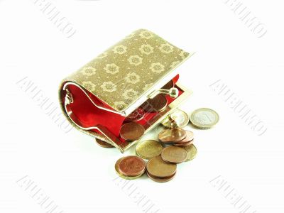 Female purse with coins
