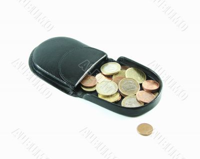 Purse with coins