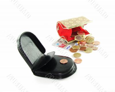 Man`s and female purse with coins