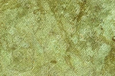 Rough green cement wall background Rough green cement wall background