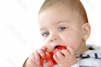 Baby gnawing red toy