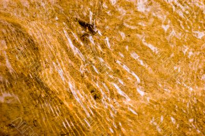 Golden sand under transparent water background