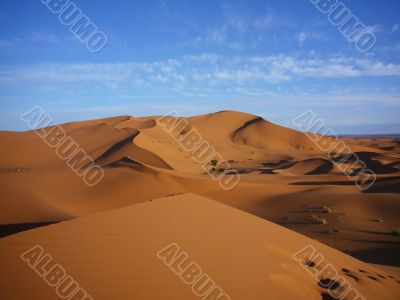 Desert Desert