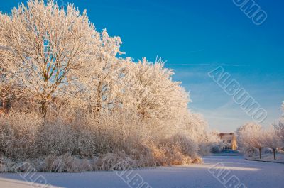 Winter in Holland