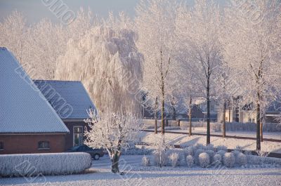 Winter in Holland