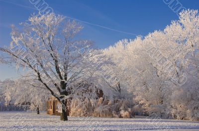 Winter in Holland