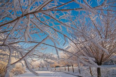 Winter in Holland