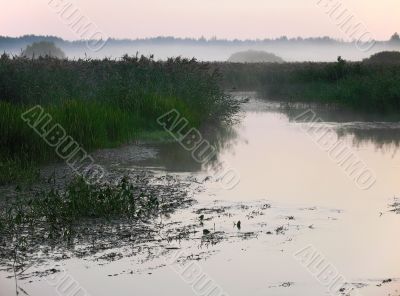 sunrize, mist, bulrush