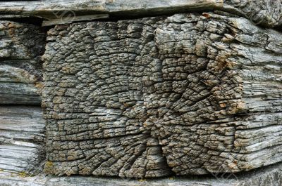 Timber butt of old wooden church wall