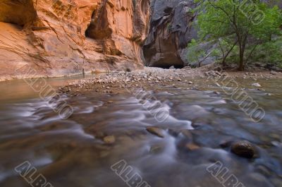 Virgin River Narrows