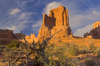 Arches National Park