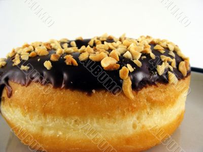 Chocolate Donut 14