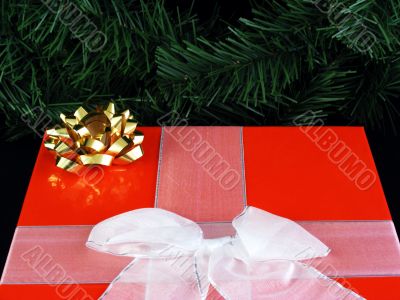 Christmas Gift 1