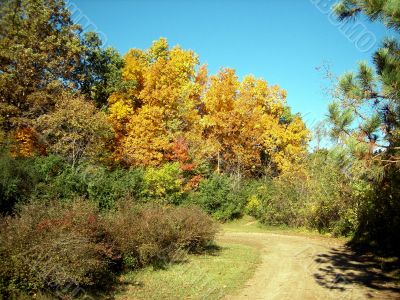 Country Road In Autumn Country Road In Autumn