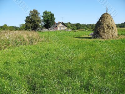village, meadow, hayfield