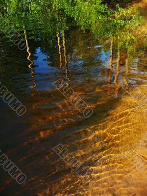 reflection pines