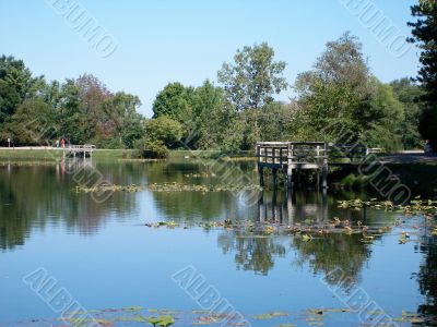 Fishing Docks On the Lake