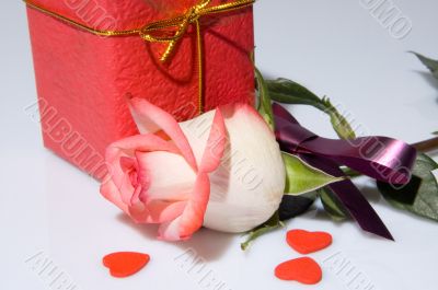 The rose and a present box