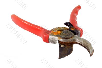 Used pruning shears