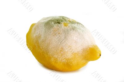 Lemon gone bad