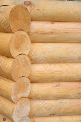 Logs butt element of wooden house