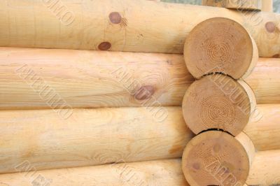 Logs butt element of wooden house Logs butt element of wooden house