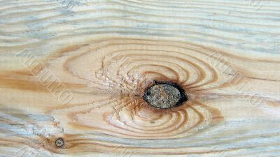 Knot on textured wooden plank