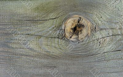 Knot on textured wooden plank