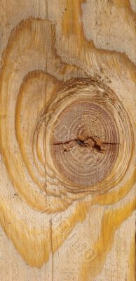 Knot on textured wooden plank