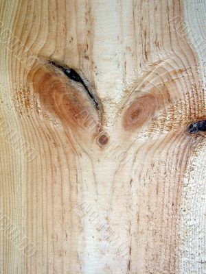 Knots on textured wooden plank like alien face