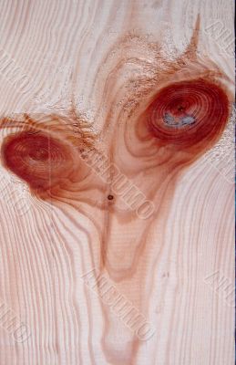 Knots on textured wooden plank like alien face