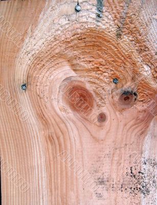 Knots on textured wooden plank like alien face