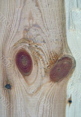 Knots on textured wooden plank like alien face