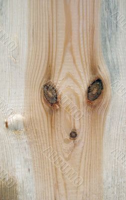 Knots on textured wooden plank like alien face