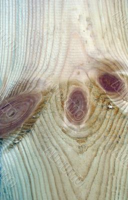 Knots on textured wooden plank like alien face