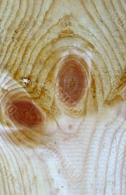 Knots on textured wooden plank like alien face