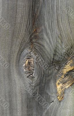 Knots on textured wooden plank like alien face