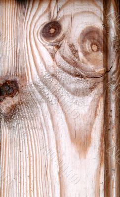 Knots on textured wooden plank like alien face