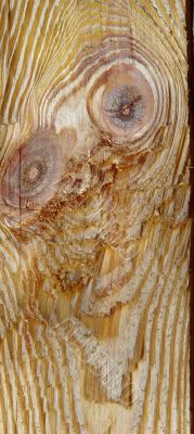 Knots on textured wooden plank like alien face