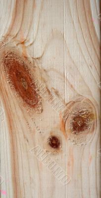 Knots on textured wooden plank like alien face