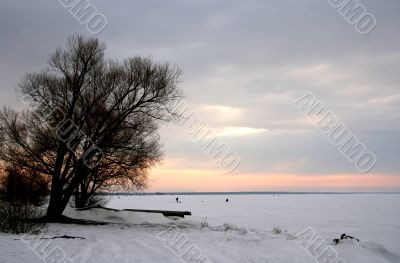 Winter landscape.