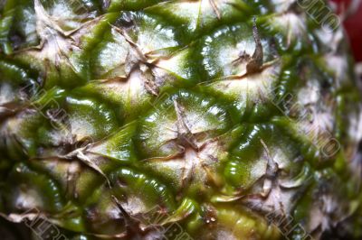 Close-up of pineapple parts for background using