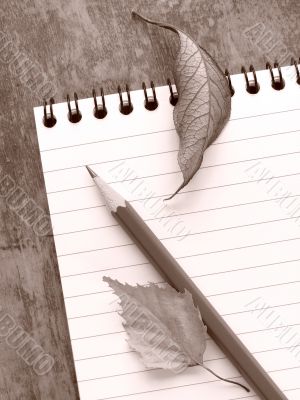 stationery still life