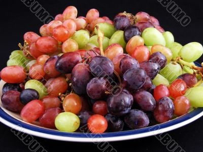 Grapes 2