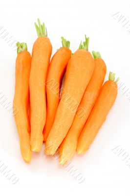 Fresh carrots