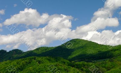 Mountain landscape with forest and sky